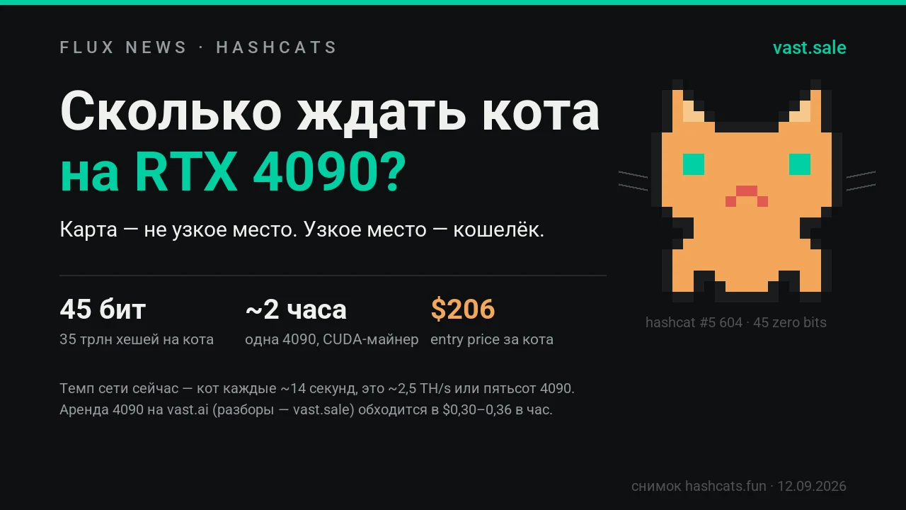 Snapshot of hashcats.fun, 12.09.2026: 45 bits, 35 trillion hashes per cat, about two hours on one 4090